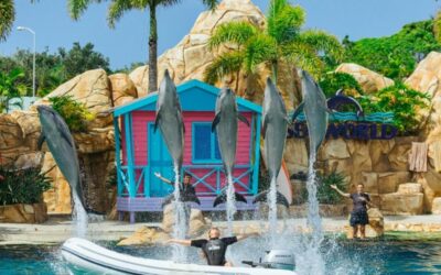 Affordable Sea World Accommodation